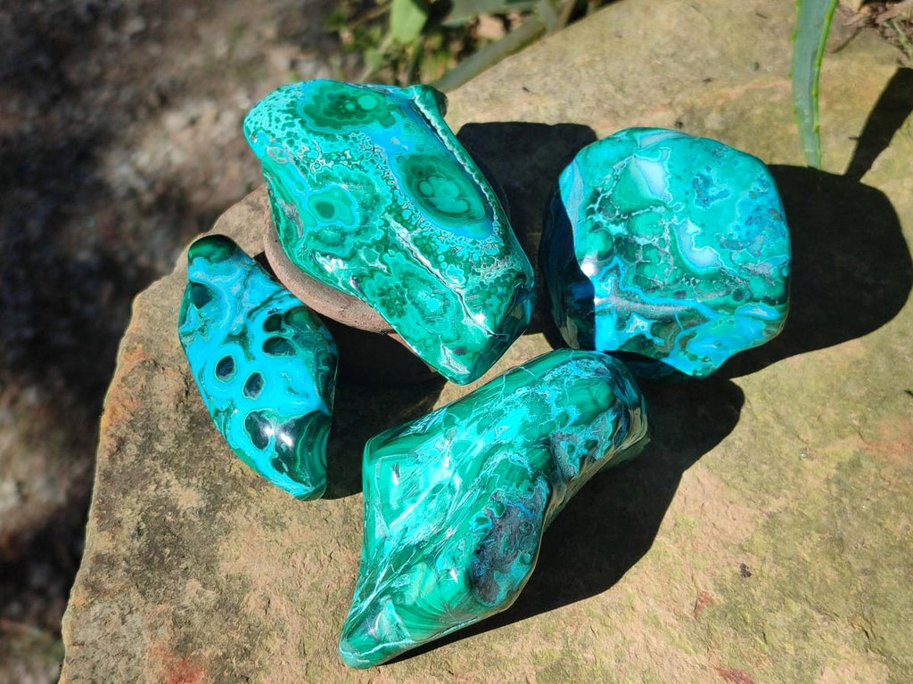 Polished Malacolla Free Forms x 12 From Kulukuluku, Congo - Toprock Gemstones and Minerals 