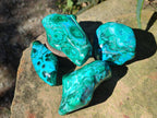 Polished Malacolla Free Forms x 12 From Kulukuluku, Congo - Toprock Gemstones and Minerals 