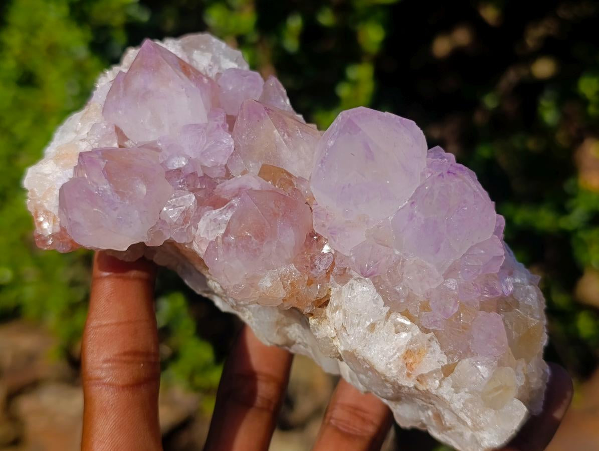 Natural Spirit Amethyst Clusters x 3 From Boekenhouthoek, South Africa - Toprock Gemstones and Minerals 