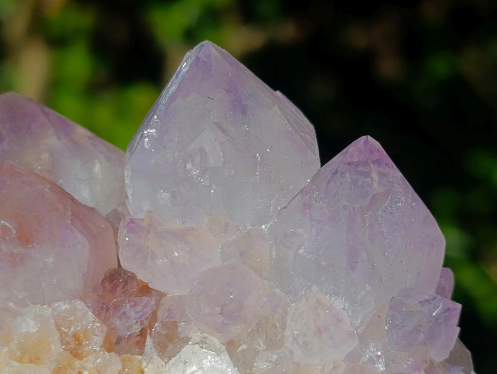Natural Spirit Amethyst Clusters x 3 From Boekenhouthoek, South Africa - Toprock Gemstones and Minerals 