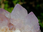 Natural Spirit Amethyst Clusters x 3 From Boekenhouthoek, South Africa - Toprock Gemstones and Minerals 