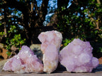 Natural Spirit Amethyst Clusters x 3 From Boekenhouthoek, South Africa - Toprock Gemstones and Minerals 