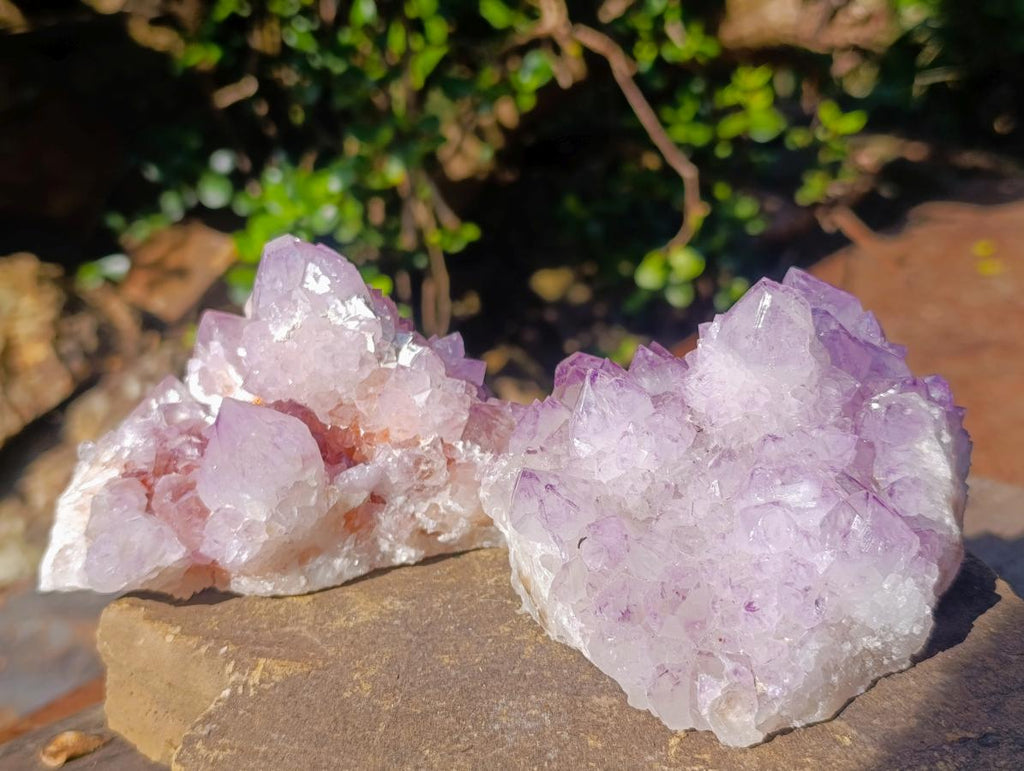 Natural Spirit Amethyst Clusters x 3 From Boekenhouthoek, South Africa - Toprock Gemstones and Minerals 