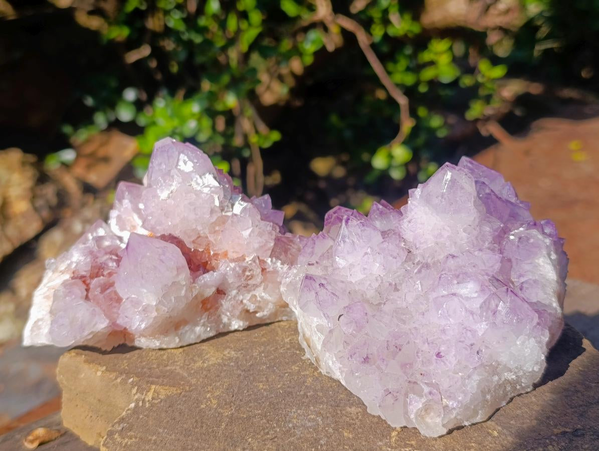 Natural Spirit Amethyst Clusters x 3 From Boekenhouthoek, South Africa - Toprock Gemstones and Minerals 