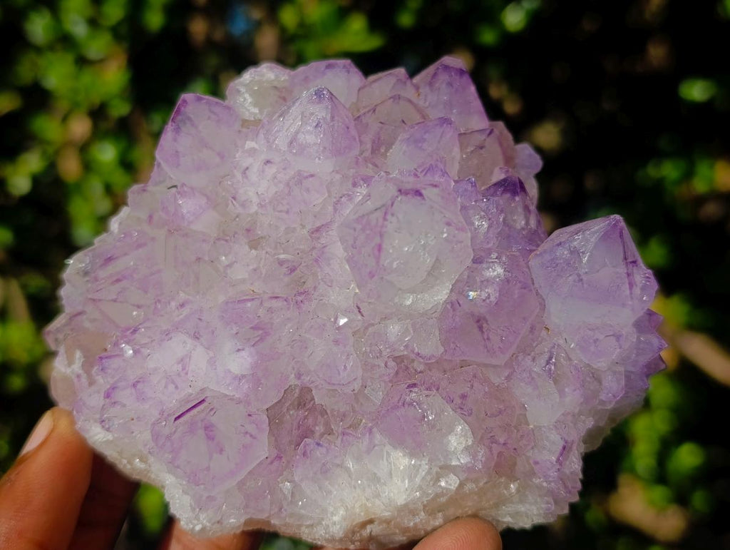 Natural Spirit Amethyst Clusters x 3 From Boekenhouthoek, South Africa - Toprock Gemstones and Minerals 
