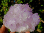Natural Spirit Amethyst Clusters x 3 From Boekenhouthoek, South Africa - Toprock Gemstones and Minerals 