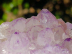 Natural Spirit Amethyst Clusters x 3 From Boekenhouthoek, South Africa - Toprock Gemstones and Minerals 
