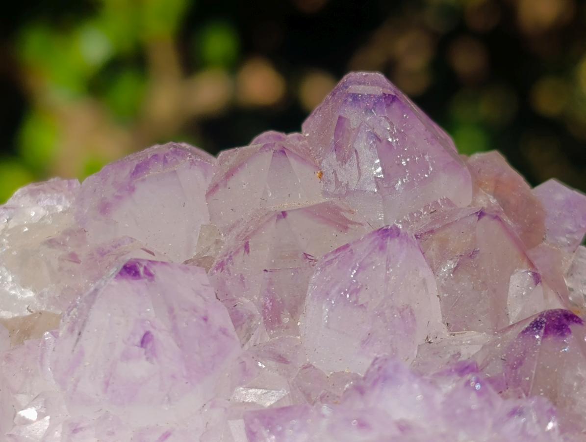 Natural Spirit Amethyst Clusters x 3 From Boekenhouthoek, South Africa - Toprock Gemstones and Minerals 