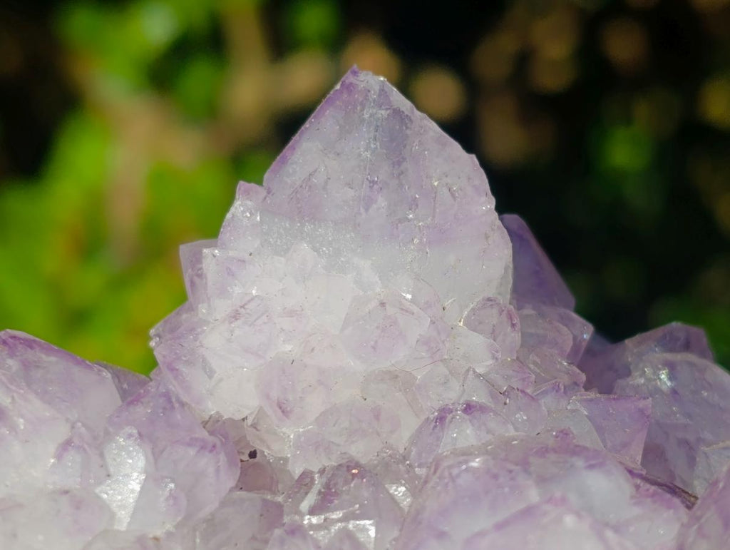 Natural Spirit Amethyst Clusters x 3 From Boekenhouthoek, South Africa - Toprock Gemstones and Minerals 