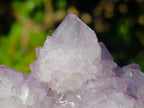 Natural Spirit Amethyst Clusters x 3 From Boekenhouthoek, South Africa - Toprock Gemstones and Minerals 