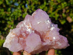 Natural Spirit Amethyst Clusters x 3 From Boekenhouthoek, South Africa - Toprock Gemstones and Minerals 