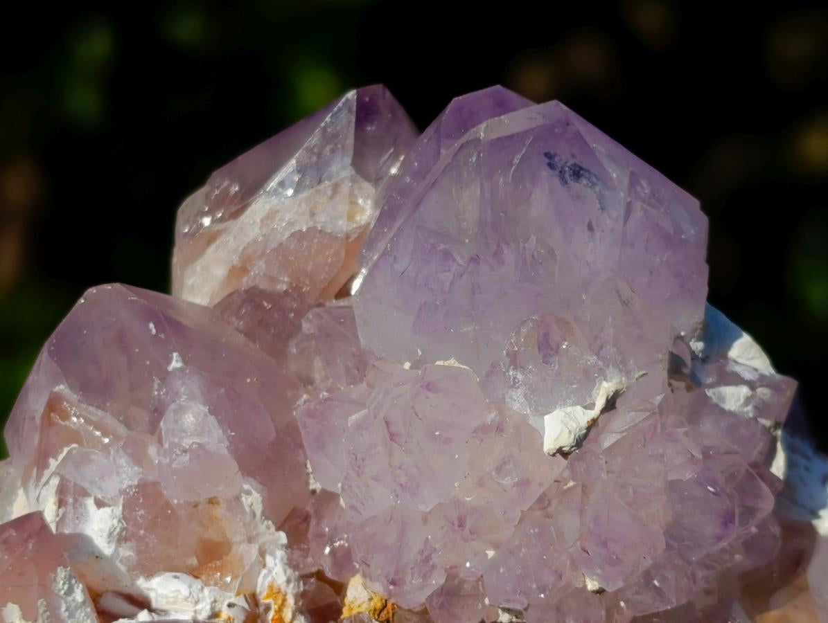 Natural Spirit Amethyst Clusters x 3 From Boekenhouthoek, South Africa - Toprock Gemstones and Minerals 