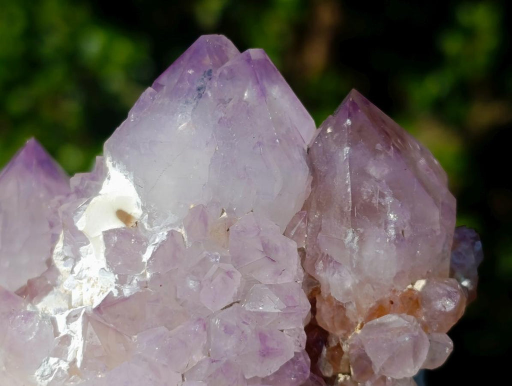 Natural Spirit Amethyst Clusters x 3 From Boekenhouthoek, South Africa - Toprock Gemstones and Minerals 