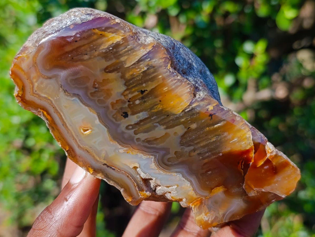 Polished Large One Side Red Shashe River Agate Nodules x 4 From Shashe River, Zimbabwe - Toprock Gemstones and Minerals 