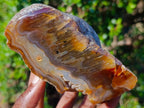 Polished Large One Side Red Shashe River Agate Nodules x 4 From Shashe River, Zimbabwe - Toprock Gemstones and Minerals 