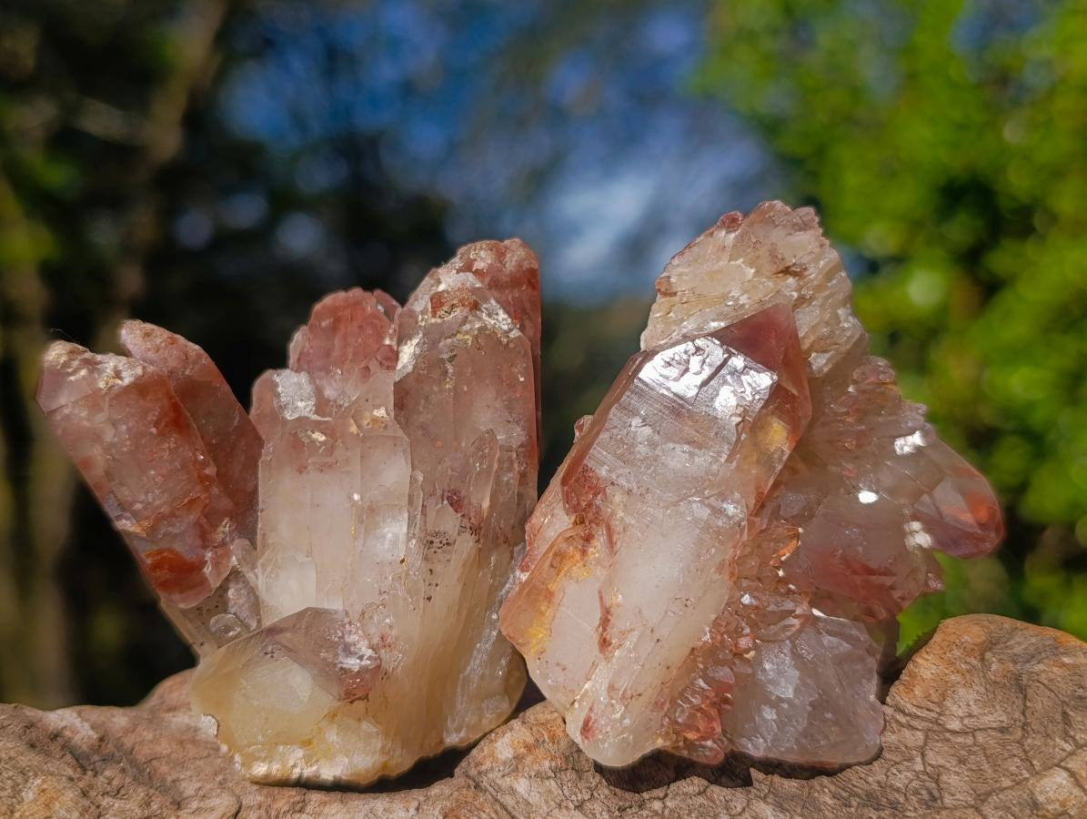 Natural Red Hematoid Quartz Crystals and Clusters x 24 From Karoi, Zimbabwe - Toprock Gemstones and Minerals 