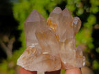 Natural Red Hematoid Quartz Crystals and Clusters x 24 From Karoi, Zimbabwe - Toprock Gemstones and Minerals 