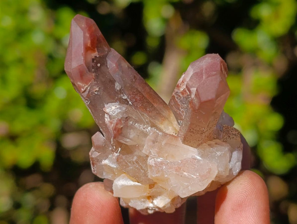 Natural Red Hematoid Quartz Crystals and Clusters x 24 From Karoi, Zimbabwe - Toprock Gemstones and Minerals 
