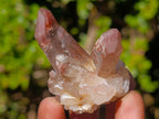 Natural Red Hematoid Quartz Crystals and Clusters x 24 From Karoi, Zimbabwe - Toprock Gemstones and Minerals 