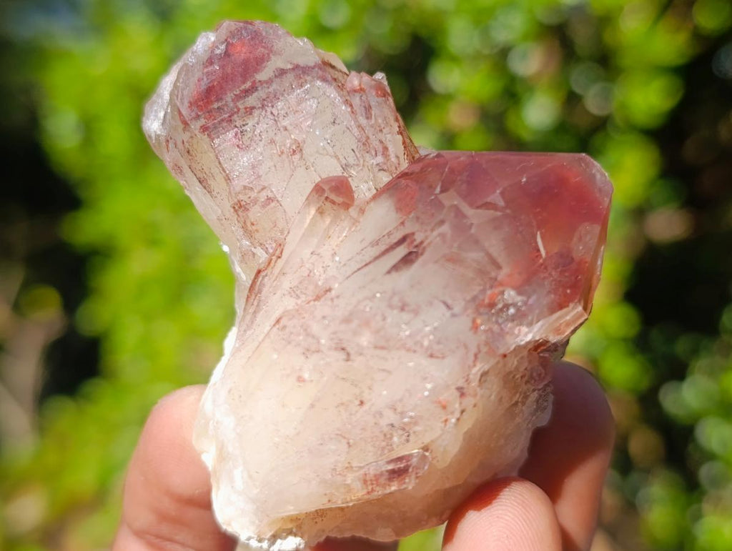 Natural Red Hematoid Quartz Crystals and Clusters x 24 From Karoi, Zimbabwe - Toprock Gemstones and Minerals 