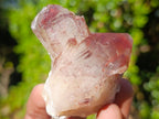 Natural Red Hematoid Quartz Crystals and Clusters x 24 From Karoi, Zimbabwe - Toprock Gemstones and Minerals 