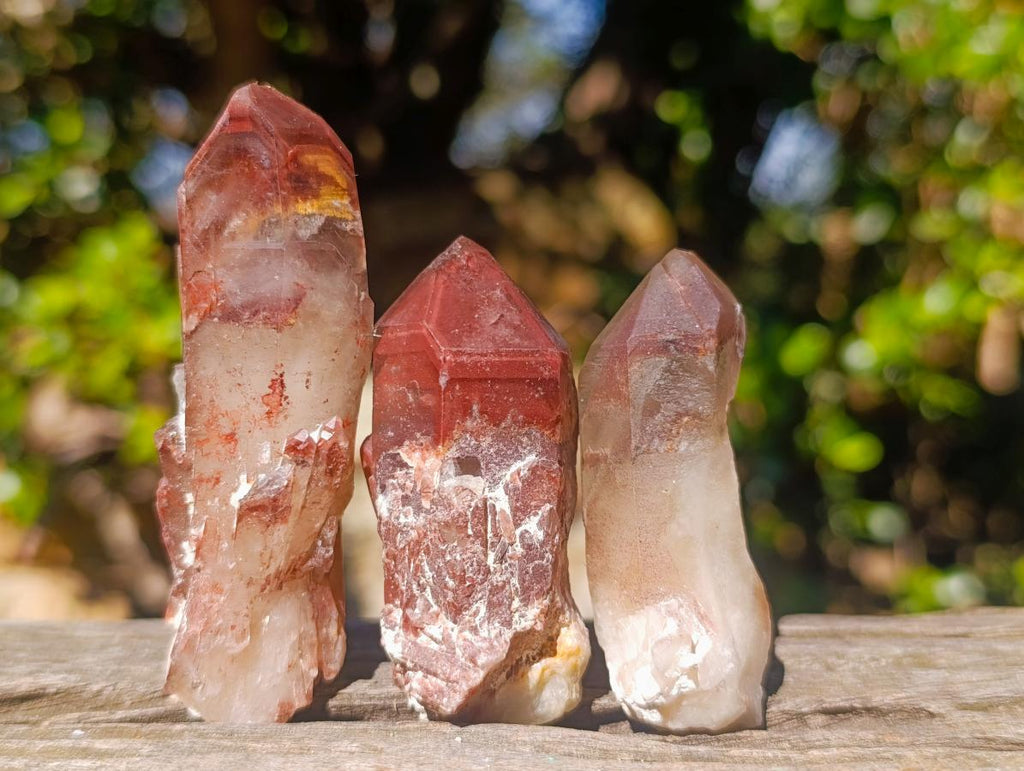 Natural Red Hematoid Quartz Crystals and Clusters x 24 From Karoi, Zimbabwe - Toprock Gemstones and Minerals 