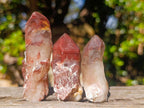 Natural Red Hematoid Quartz Crystals and Clusters x 24 From Karoi, Zimbabwe - Toprock Gemstones and Minerals 
