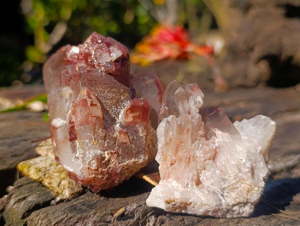 Natural Red Hematoid Quartz Crystals and Clusters x 24 From Karoi, Zimbabwe - Toprock Gemstones and Minerals 