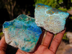 Polished Shattuckite Slices x 12 From Kaokoveld, Namibia - Toprock Gemstones and Minerals 