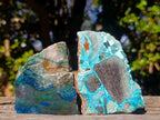 Polished Shattuckite Slices x 12 From Kaokoveld, Namibia - Toprock Gemstones and Minerals 