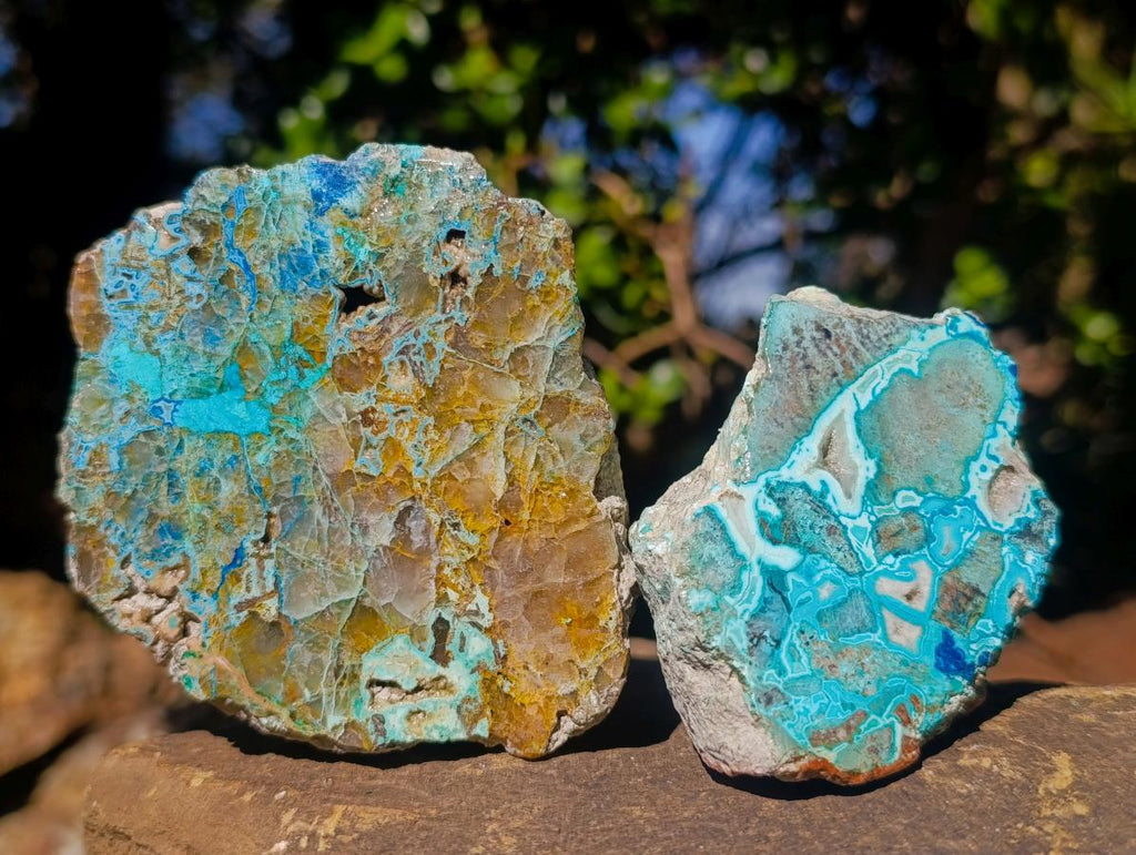Polished Shattuckite Slices x 12 From Kaokoveld, Namibia - Toprock Gemstones and Minerals 