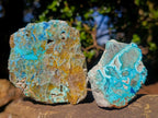 Polished Shattuckite Slices x 12 From Kaokoveld, Namibia - Toprock Gemstones and Minerals 