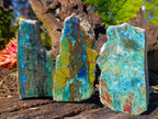 Polished Shattuckite Slices x 12 From Kaokoveld, Namibia - Toprock Gemstones and Minerals 