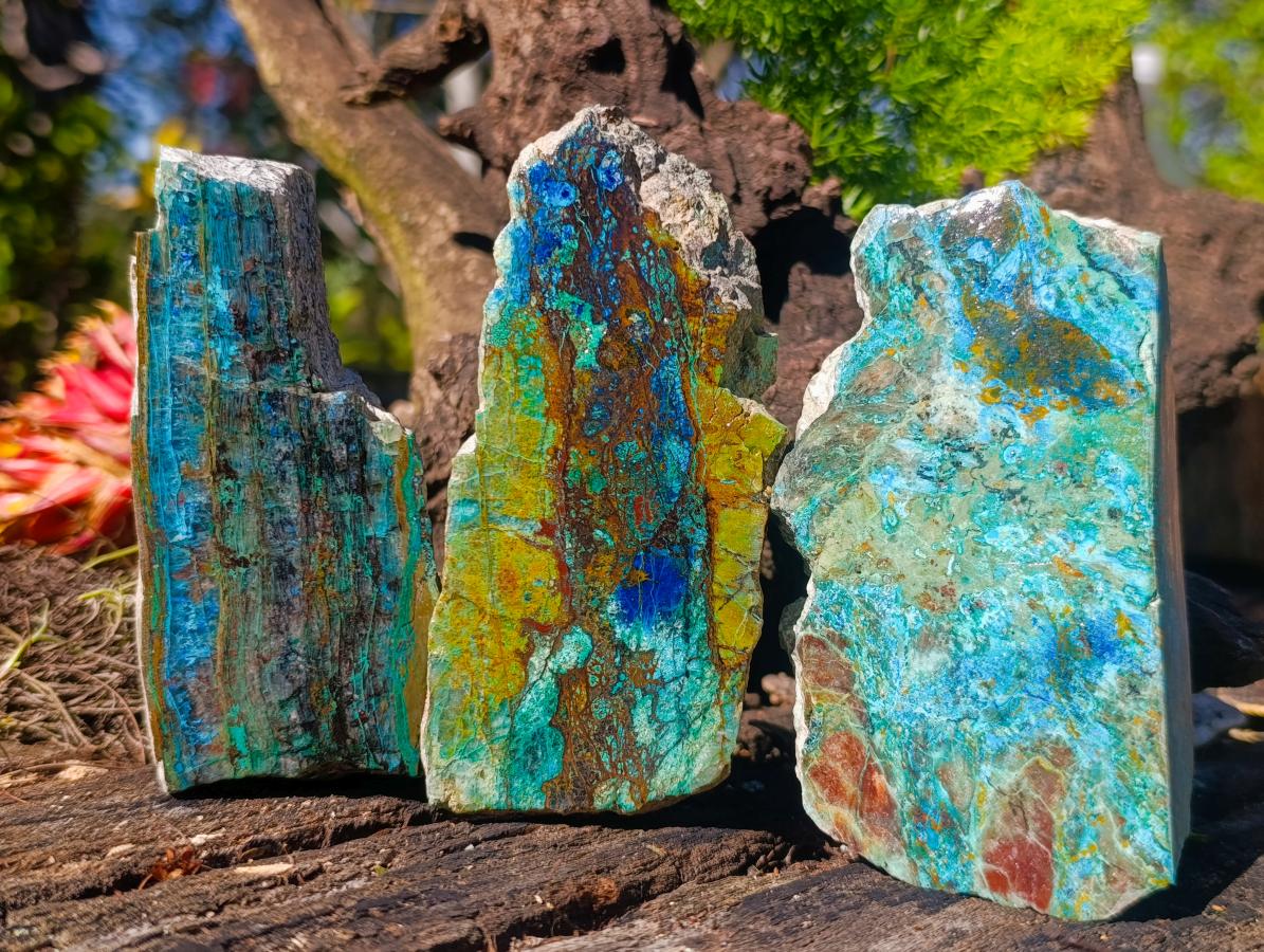 Polished Shattuckite Slices x 12 From Kaokoveld, Namibia - Toprock Gemstones and Minerals 