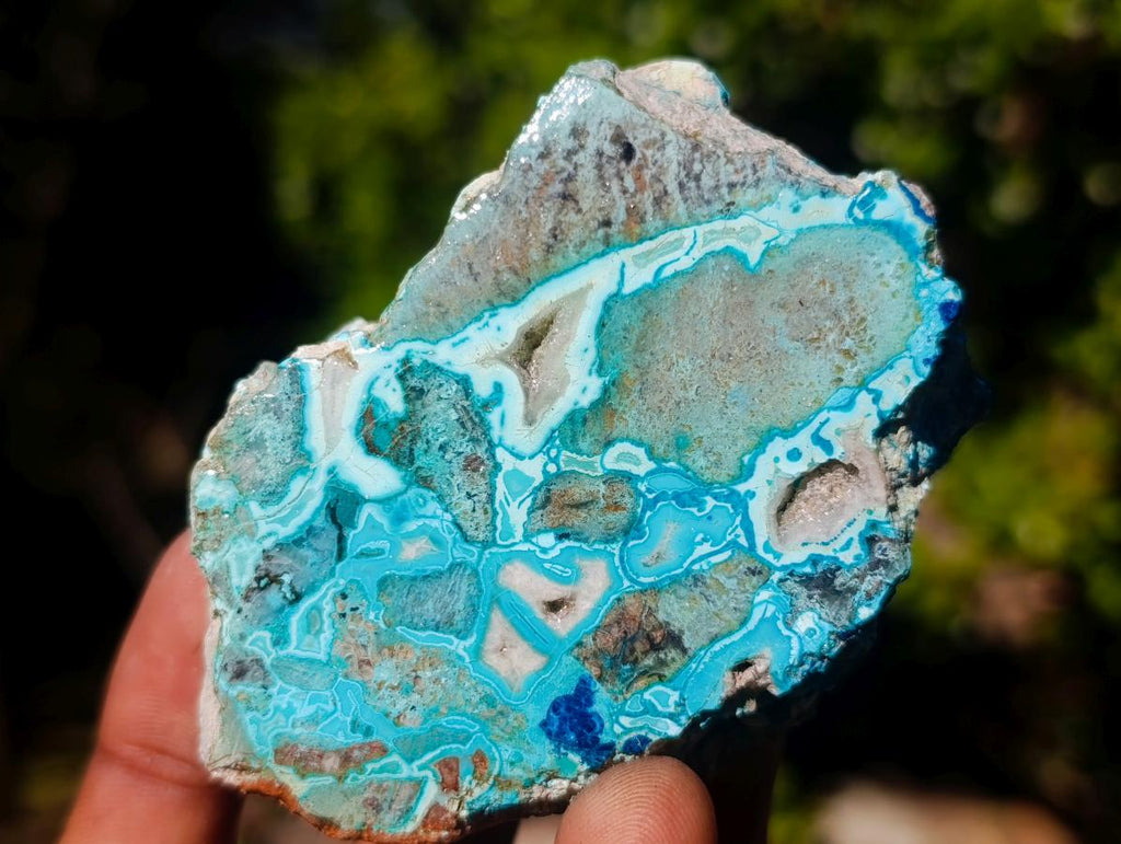 Polished Shattuckite Slices x 12 From Kaokoveld, Namibia - Toprock Gemstones and Minerals 