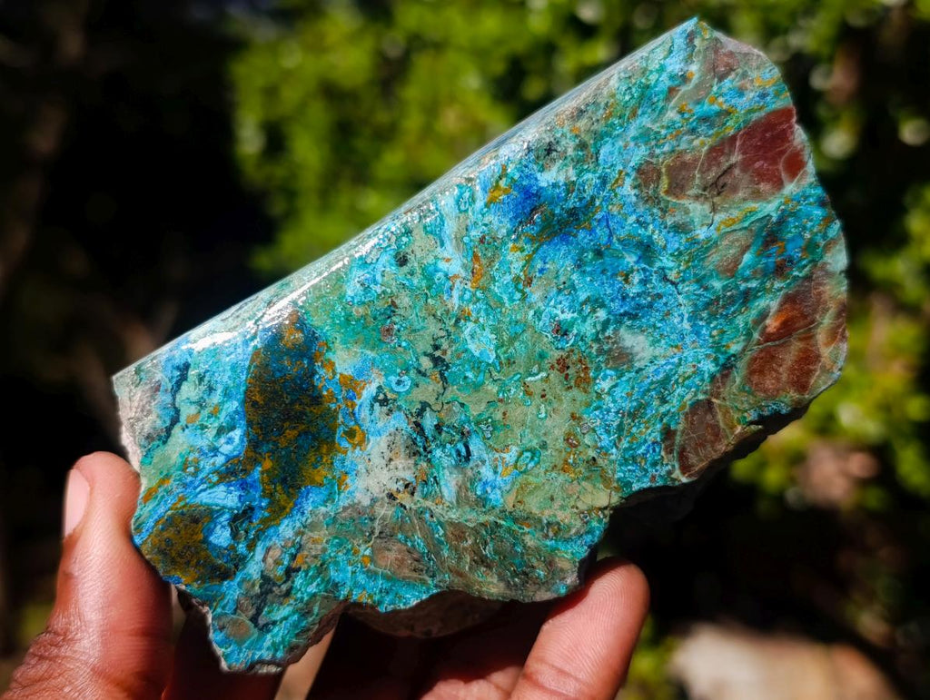 Polished Shattuckite Slices x 12 From Kaokoveld, Namibia - Toprock Gemstones and Minerals 