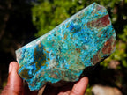 Polished Shattuckite Slices x 12 From Kaokoveld, Namibia - Toprock Gemstones and Minerals 