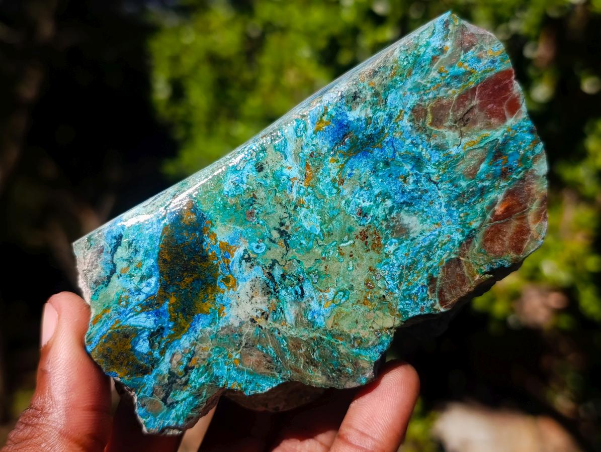 Polished Shattuckite Slices x 12 From Kaokoveld, Namibia - Toprock Gemstones and Minerals 