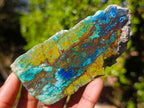 Polished Shattuckite Slices x 12 From Kaokoveld, Namibia - Toprock Gemstones and Minerals 