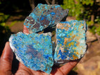 Polished Shattuckite Slices x 12 From Kaokoveld, Namibia - Toprock Gemstones and Minerals 