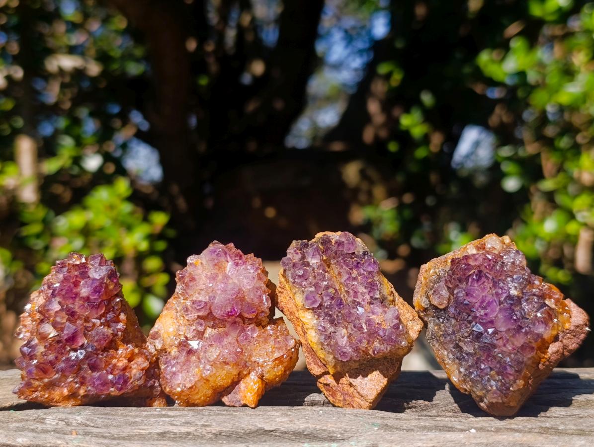 Natural Dark Purple Amethyst Clusters x 35 From Boekenhouthoek, South Africa - Toprock Gemstones and Minerals 