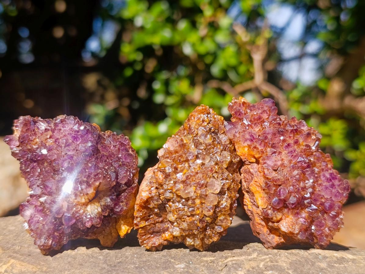 Natural Dark Purple Amethyst Clusters x 35 From Boekenhouthoek, South Africa - Toprock Gemstones and Minerals 