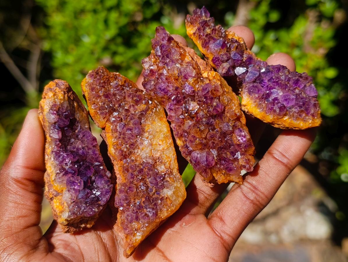 Natural Dark Purple Amethyst Clusters x 35 From Boekenhouthoek, South Africa - Toprock Gemstones and Minerals 