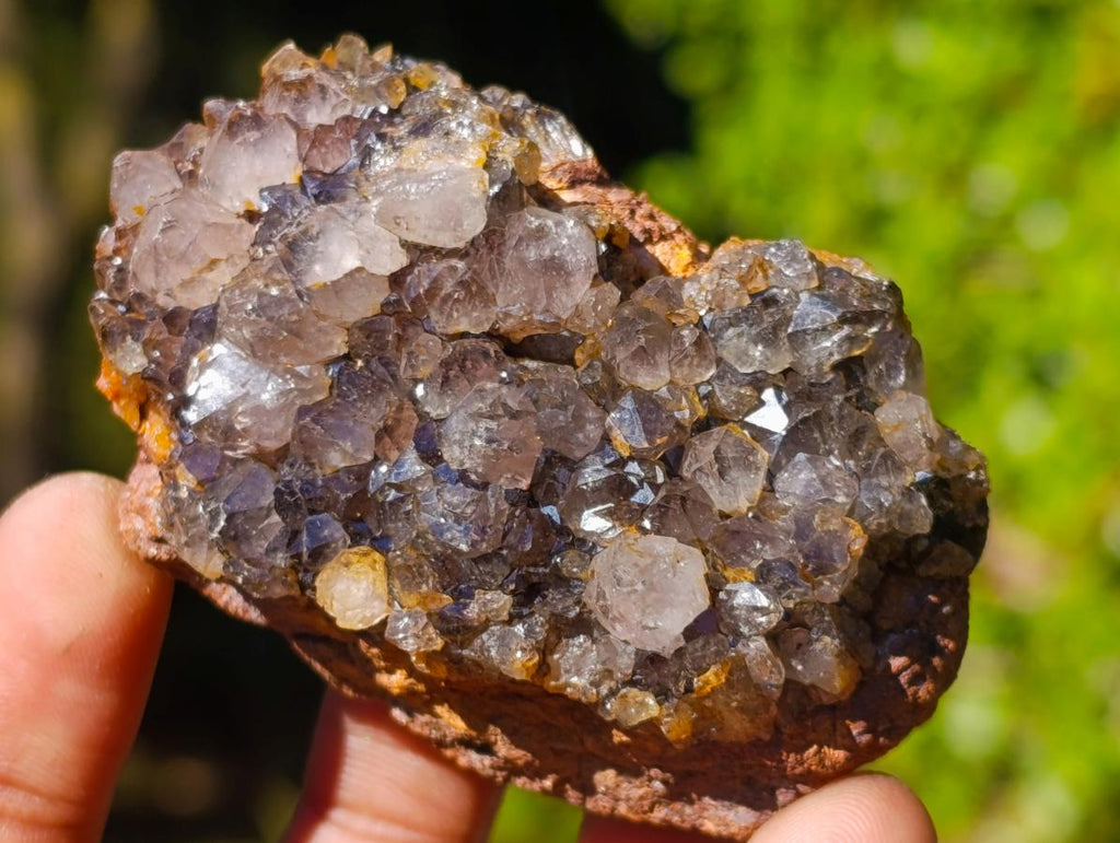 Natural Dark Purple Amethyst Clusters x 35 From Boekenhouthoek, South Africa - Toprock Gemstones and Minerals 