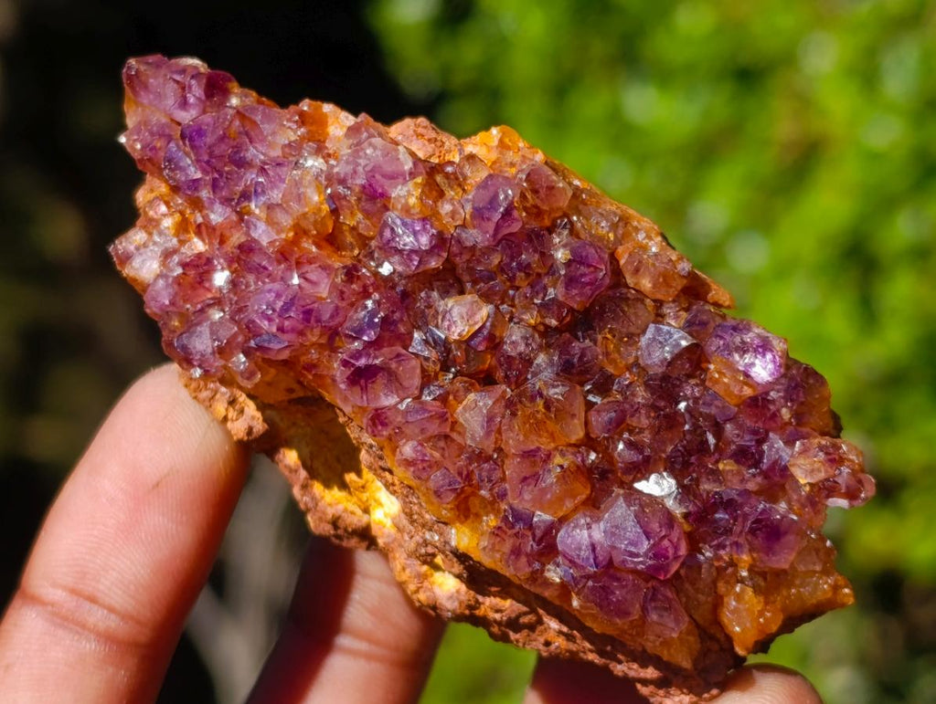 Natural Dark Purple Amethyst Clusters x 35 From Boekenhouthoek, South Africa - Toprock Gemstones and Minerals 