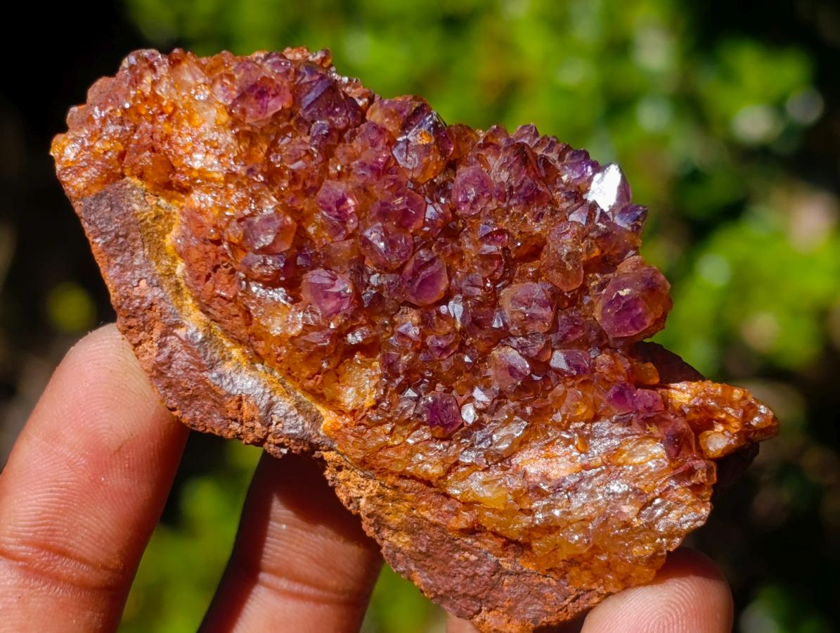Natural Dark Purple Amethyst Clusters x 35 From Boekenhouthoek, South Africa - Toprock Gemstones and Minerals 