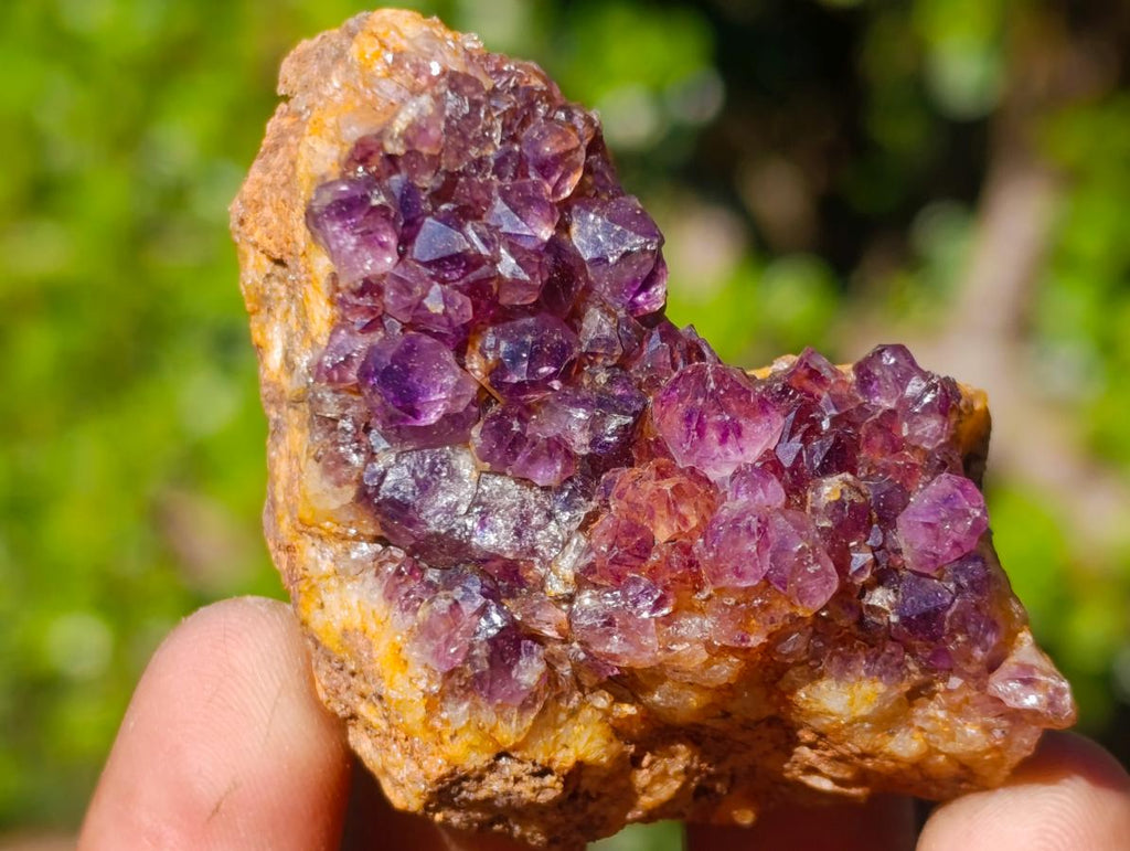 Natural Dark Purple Amethyst Clusters x 35 From Boekenhouthoek, South Africa - Toprock Gemstones and Minerals 
