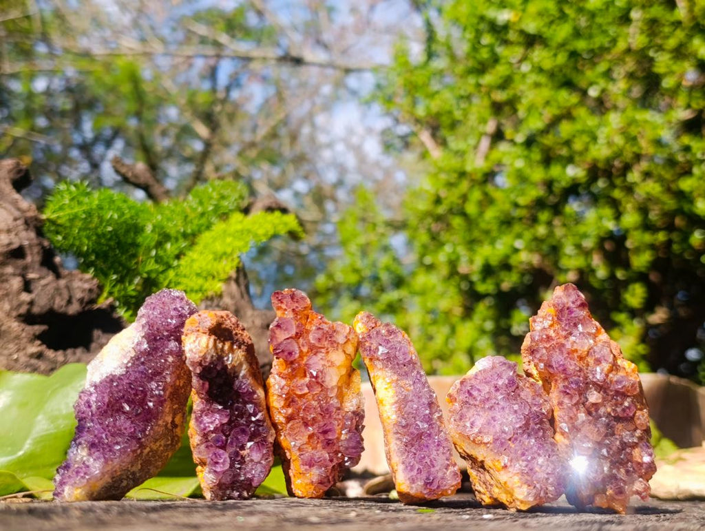 Natural Dark Purple Amethyst Clusters x 35 From Boekenhouthoek, South Africa - Toprock Gemstones and Minerals 