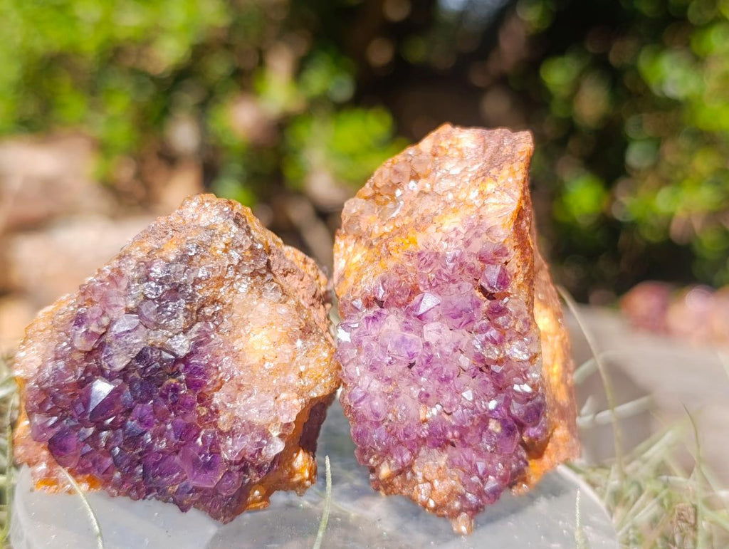 Natural Dark Purple Amethyst Clusters x 35 From Boekenhouthoek, South Africa - Toprock Gemstones and Minerals 