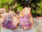 Natural Dark Purple Amethyst Clusters x 35 From Boekenhouthoek, South Africa - Toprock Gemstones and Minerals 
